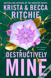 Capa do artigo Destructively Mine