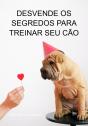 Desvende Os Segredos Para Treinar Seu Cão - Preview