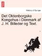 Det Oldenborgske Kongehus I Denmark Af J - Preview