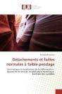 Detachements Et Failles Normales A Faible Pendage - Preview