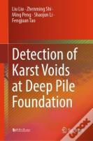 Detection Of Karst Voids At Deep Pile Foundation