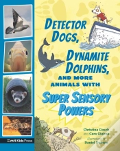 Capa do artigo Detector Dogs, Dynamite Dolphins, And More Animals With Super Sensory Powers