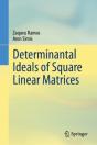 Determinantal Ideals Of Square Linear Matrices - Preview