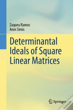 Capa do artigo Determinantal Ideals Of Square Linear Matrices