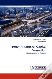 Determinants Of Capital Formation