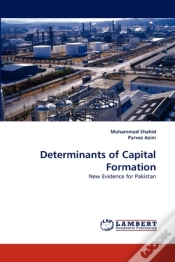 Capa do artigo Determinants Of Capital Formation