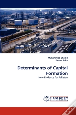 Capa do artigo Determinants Of Capital Formation