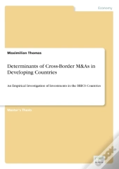 Determinants Of Cross-Border M&As In Developing Countries
