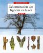 Determination Des Ligneux En Hiver - Preview