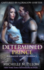 Determined Prince - Preview