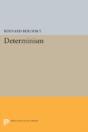 Determinism - Preview