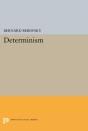 Determinism - Preview