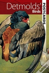 Capa do artigo Detmolds