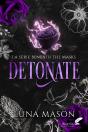Detonate - Preview