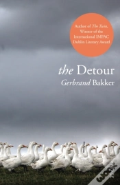 Capa do artigo Detour