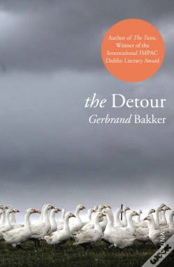 Capa do artigo Detour