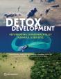 Detox Development - Preview