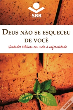 Capa do artigo Deus Não Se Esqueceu De Você