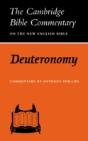 Deuteronomy - Preview