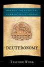 Deuteronomy (Brazos Theological Commentary On The Bible) - Preview