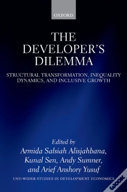 Capa do artigo Developer'S Dilemma
