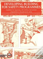 Capa do artigo Developing Building For Safety Programmes