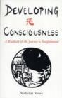 Developing Consciousness - A Roadmap Of The Journey To Enlightenment - Preview