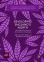 Developing England'S North - Preview