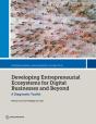 Developing Entrepreneurial Ecosystems For Digital Businesses And Beyond - Preview