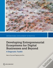 Capa do artigo Developing Entrepreneurial Ecosystems For Digital Businesses And Beyond