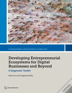 Capa do artigo Developing Entrepreneurial Ecosystems For Digital Businesses And Beyond