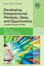 Developing Entrepreneurial Mindsets, Ideas, And Opportunities - Preview