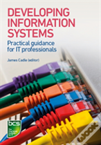 Developing Information Systems