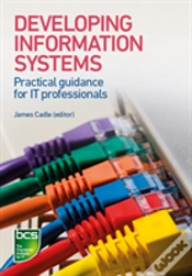 Capa do artigo Developing Information Systems