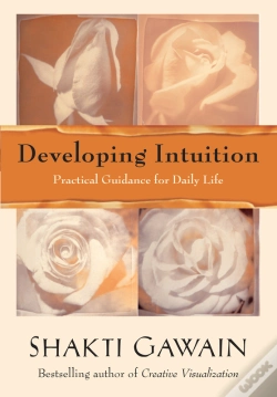 Capa do artigo Developing Intuition