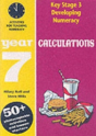 Developing Numeracy: Calculationsyear 7 - Preview