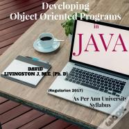 Developing Object Oriented Programs In Java