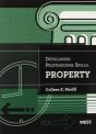 Developing Professional Skills - Preview