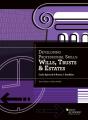 Developing Professional Skills - Preview