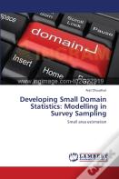 Developing Small Domain Statistics