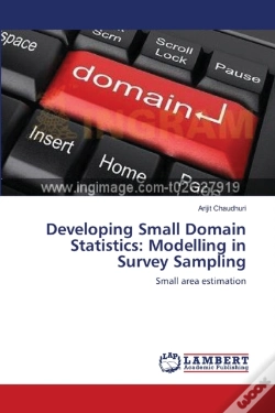 Capa do artigo Developing Small Domain Statistics