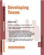 Developing Teams - Preview