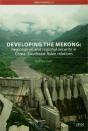 Developing The Mekong - Preview