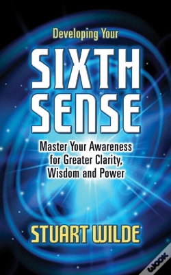 Capa do artigo Developing Your Sixth Sense