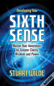 Capa do artigo Developing Your Sixth Sense