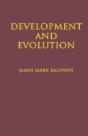 Development And Evolution - Preview