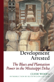 Capa do artigo Development Arrested