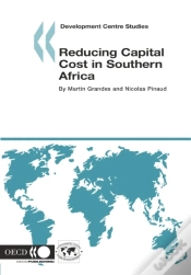 Capa do artigo Development Centre Studies Reducing Capital Cost In Southern Africa