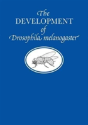 Development Drosoplila Melanogaster - Preview