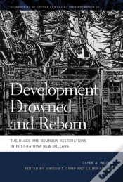 Capa do artigo Development Drowned And Reborn